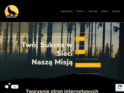 Patryk Wolf SEO & Web Design - wilku.net - Pozycjonowanie stron