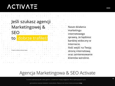 Pozycjonowanie sklepów internetowych Konin - Activate.pl