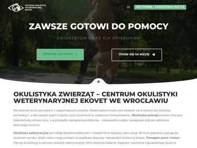 Leczenie oczu psa Wrocław - cowe.pl