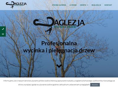 Wycinka drzew Kraków - daglezja-wycinkadrzew.pl