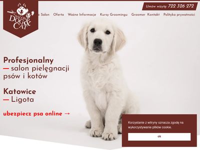 Profesjonalny ssalon dla psów Katowice - dogcat.pl
