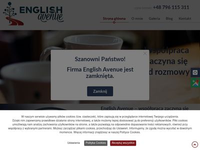 Angielski z lektorem online - englishavenue.pl
