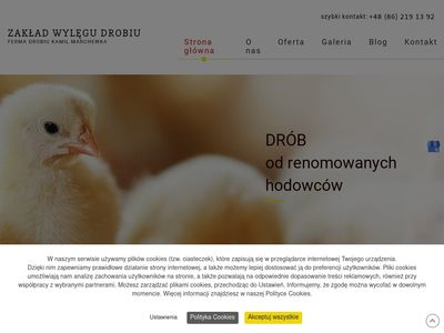 Sprzedaż gęsi - fermadrobiumarchewka.pl