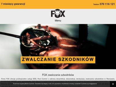 Zwalczanie pluskiew, Warszawa, https://www.foxzwalczanieszkodnikow.pl/
