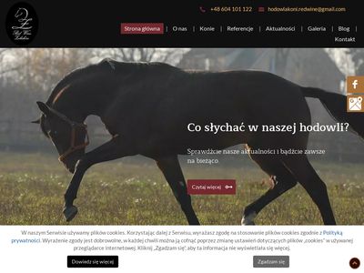 Hodowla koni w Polsce - hodowlakoni-redwine.pl