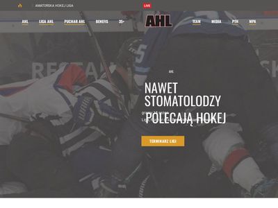 Amatorska Hokej Liga - www.hokej.org.pl