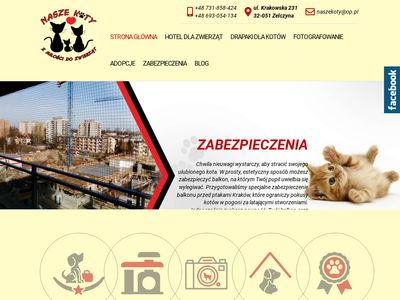 Www.nasze-koty.com.pl - hotel dla kota Kraków