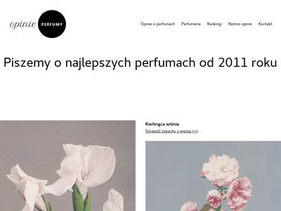 Blog o perfumach - opinie-perfumy.pl