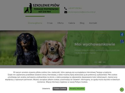 Tresura psów Siedlce szkoleniapsowtp.pl