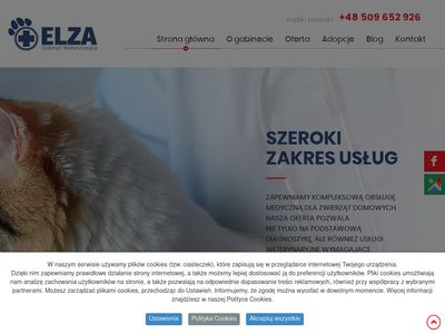 Dermatologia zwierząt świdnik weterynarz-swidnik.pl