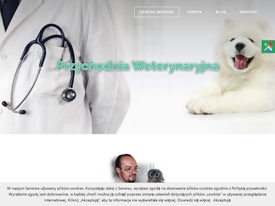 Weterynarzchorzow.com chirurgia